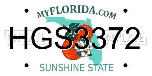 HGS3372 Florida License Plate