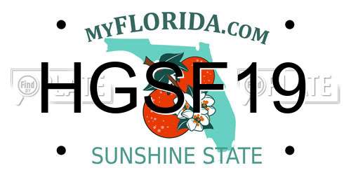 HGSF19 Florida License Plate