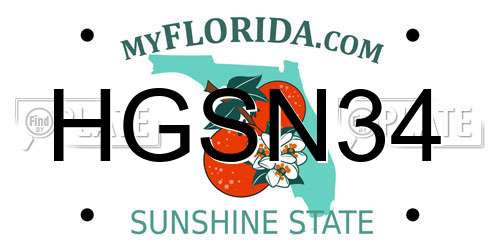 HGSN34 Florida License Plate