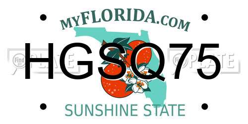 HGSQ75 Florida License Plate