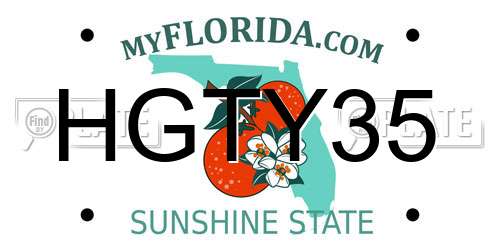 HGTY35 Florida License Plate
