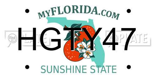 HGTY47 Florida License Plate