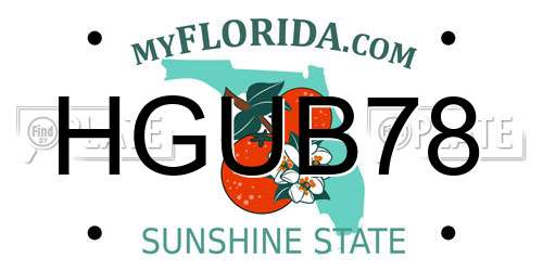 HGUB78 Florida License Plate
