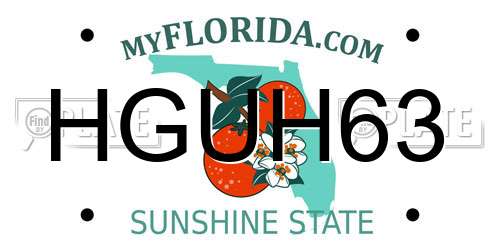 HGUH63 Florida License Plate