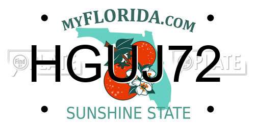 HGUJ72 Florida License Plate