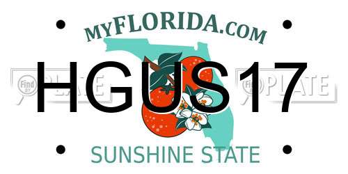 HGUS17 Florida License Plate