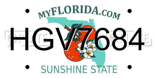 HGV7684 Florida License Plate