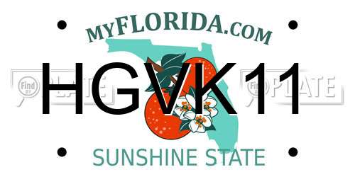 HGVK11 Florida License Plate