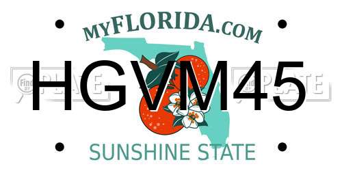 HGVM45 Florida License Plate