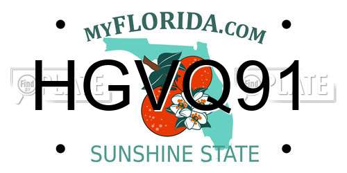 HGVQ91 Florida License Plate