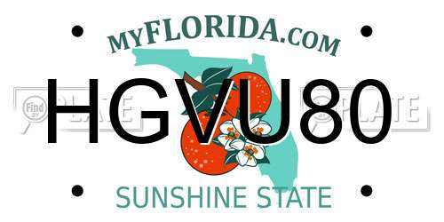 HGVU80 Florida License Plate