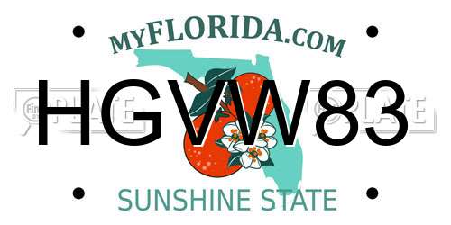 HGVW83 Florida License Plate