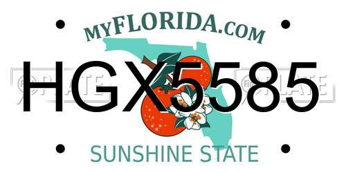 HGX5585 Florida License Plate