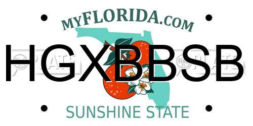 HGXBBSB Florida License Plate