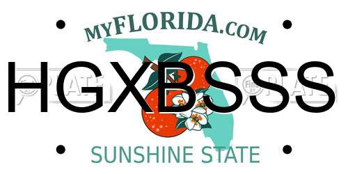 HGXBSSS Florida License Plate