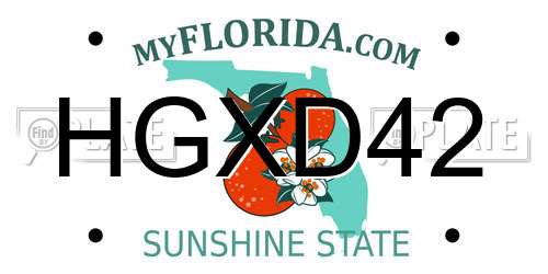 HGXD42 Florida License Plate
