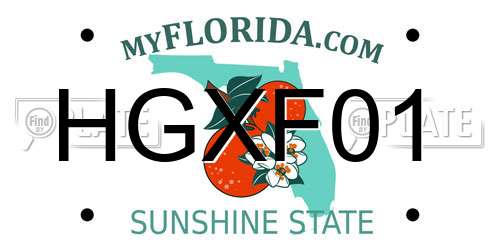 HGXF01 Florida License Plate