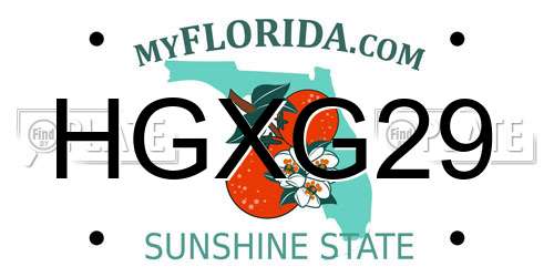 HGXG29 Florida License Plate