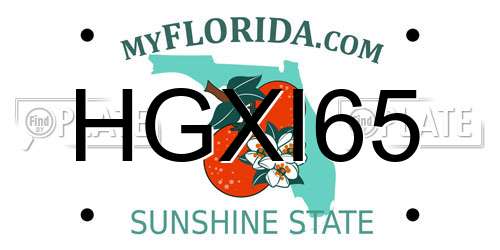 HGXI65 Florida License Plate