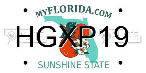 HGXP19 Florida License Plate
