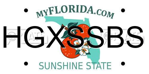 HGXSSBS Florida License Plate