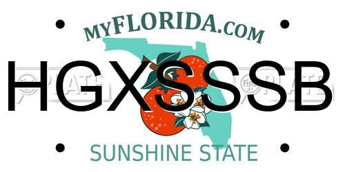 HGXSSSB Florida License Plate