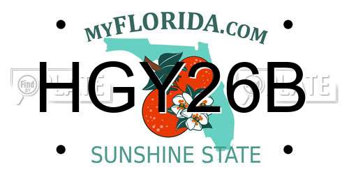 HGY26B Florida License Plate