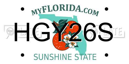 HGY26S Florida License Plate
