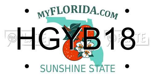 HGYB18 Florida License Plate