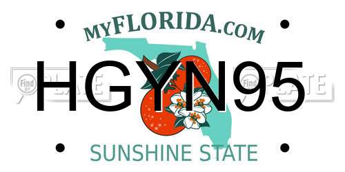 HGYN95 Florida License Plate