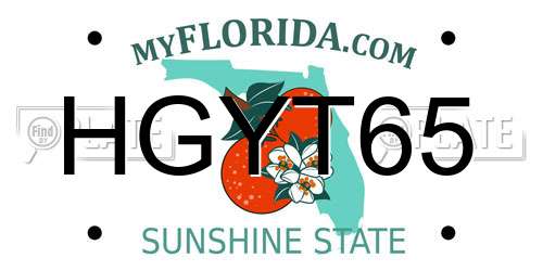 HGYT65 Florida License Plate