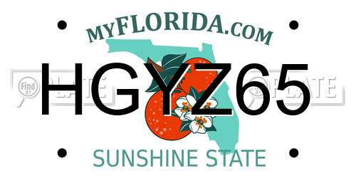 HGYZ65 Florida License Plate