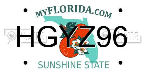 HGYZ96 Florida License Plate