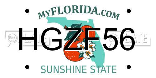 HGZF56 Florida License Plate