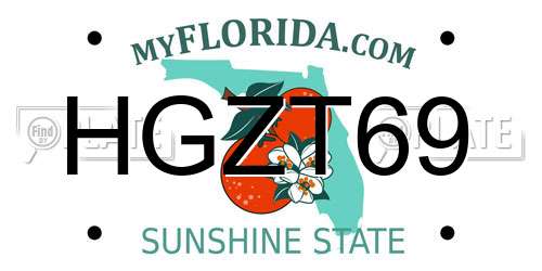 HGZT69 Florida License Plate