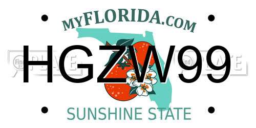 HGZW99 Florida License Plate
