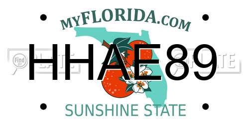 HHAE89 Florida License Plate