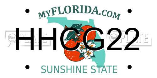 HHCG22 Florida License Plate