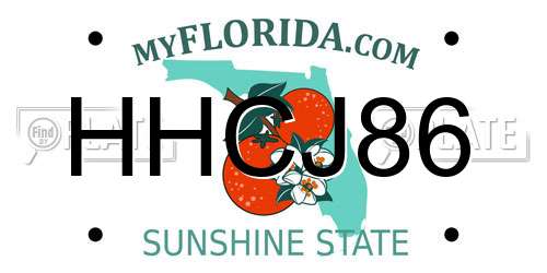 HHCJ86 Florida License Plate