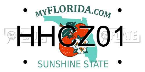 HHCZ01 Florida License Plate