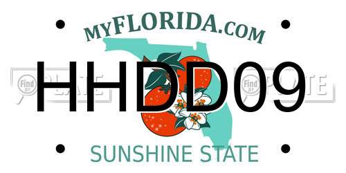 HHDD09 Florida License Plate