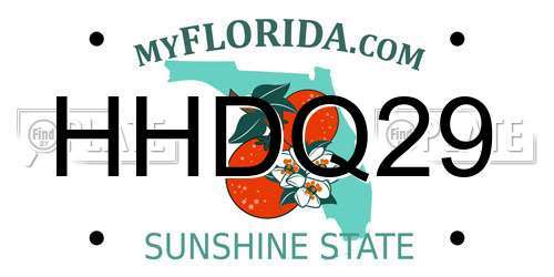 HHDQ29 Florida License Plate