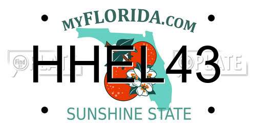 HHEL43 Florida License Plate