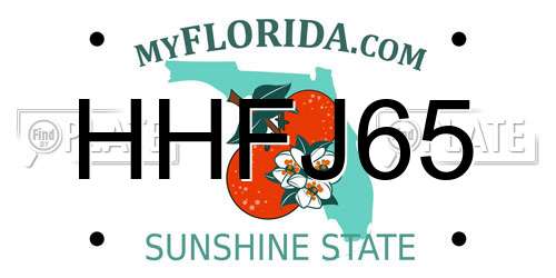HHFJ65 Florida License Plate