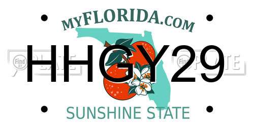 HHGY29 Florida License Plate