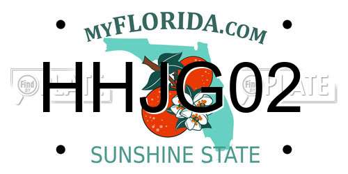 HHJG02 Florida License Plate
