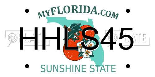 HHLS45 Florida License Plate