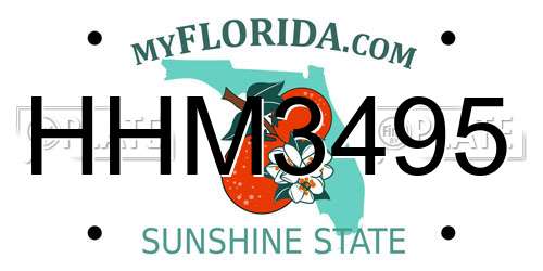 HHM3495 Florida License Plate