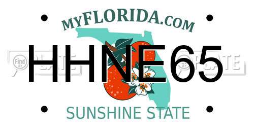 HHNE65 Florida License Plate
