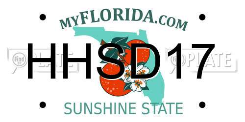 HHSD17 Florida License Plate